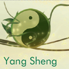 Logo of the association Association Yang Sheng